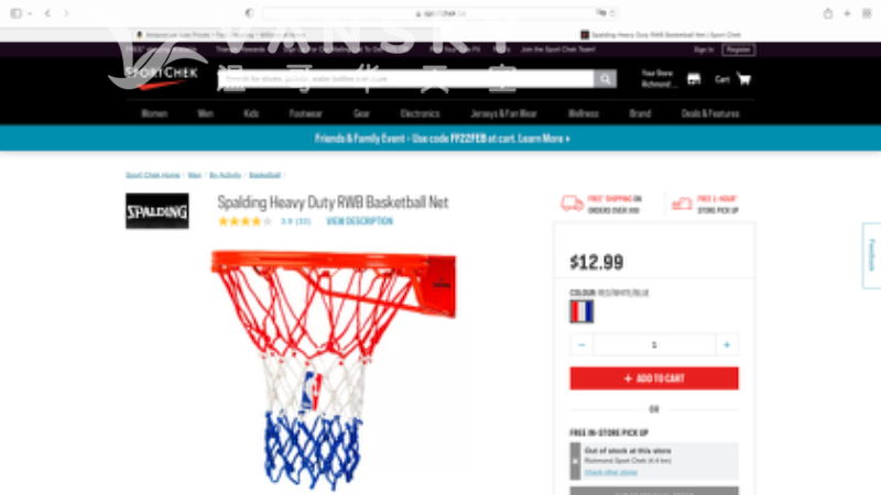 240427133708_basketball net.png